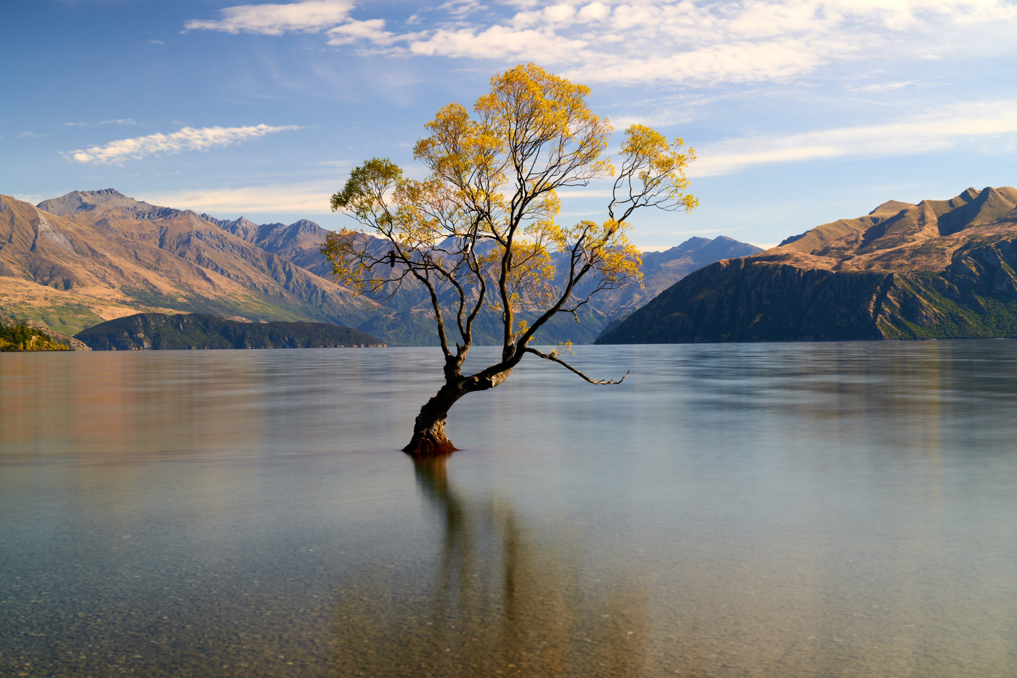 Wanaka's Glory